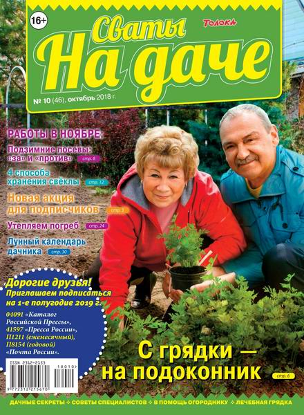 Сваты. На даче №10, октябрь 2018 - Читать журналы и газеты онлайн бесплатно без регистрации | Печатные периодические издания на bookjurn.ru