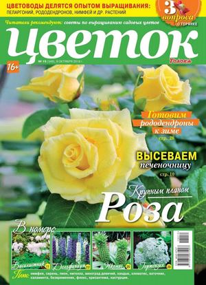 Цветок №19, октябрь 2018 - Читать журналы и газеты онлайн бесплатно без регистрации | Печатные периодические издания на bookjurn.ru