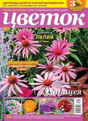 Цветок №18, сентябрь 2018 - Читать журналы и газеты онлайн бесплатно без регистрации | Печатные периодические издания на bookjurn.ru