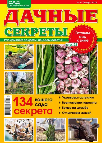 Дачные секреты №11, ноябрь 2018 - Читать журналы и газеты онлайн бесплатно без регистрации | Печатные периодические издания на bookjurn.ru