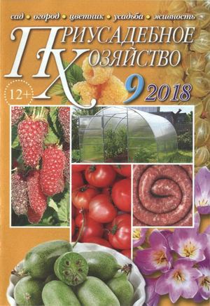 Приусадебное хозяйство №9, сентябрь 2018 - Читать журналы и газеты онлайн бесплатно без регистрации | Печатные периодические издания на bookjurn.ru