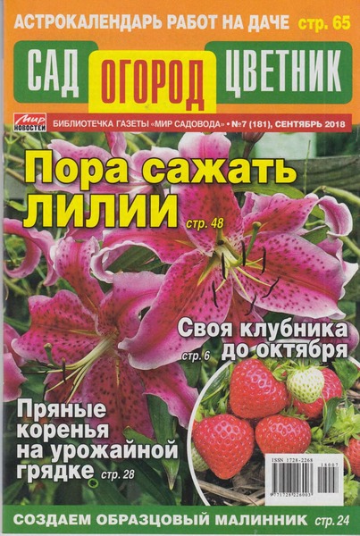 Сад. Огород. Цветник №7, сентябрь 2018 - Читать журналы и газеты онлайн бесплатно без регистрации | Печатные периодические издания на bookjurn.ru