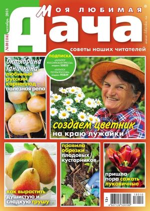 Моя любимая дача №10, октябрь 2018 - Читать журналы и газеты онлайн бесплатно без регистрации | Печатные периодические издания на bookjurn.ru