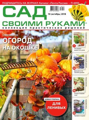Сад своими руками №10, октябрь 2018 - Читать журналы и газеты онлайн бесплатно без регистрации | Печатные периодические издания на bookjurn.ru