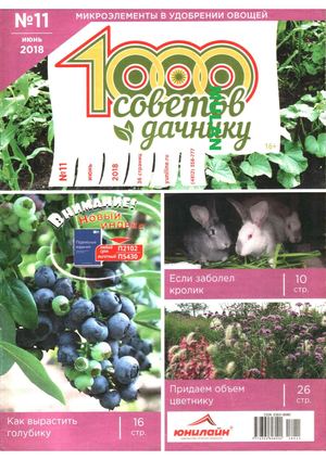 1000 советов дачнику №11, июнь 2018 - Читать журналы и газеты онлайн бесплатно без регистрации | Печатные периодические издания на bookjurn.ru