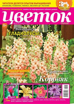 Цветок №16, август 2018 - Читать журналы и газеты онлайн бесплатно без регистрации | Печатные периодические издания на bookjurn.ru