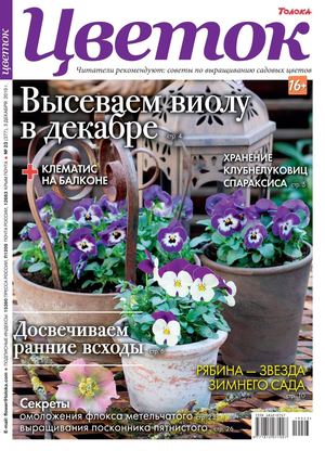 Цветок №23, декабрь 2019 - Читать журналы и газеты онлайн бесплатно без регистрации | Печатные периодические издания на bookjurn.ru