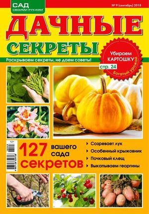 Дачные секреты №9, сентябрь 2018 - Читать журналы и газеты онлайн бесплатно без регистрации | Печатные периодические издания на bookjurn.ru