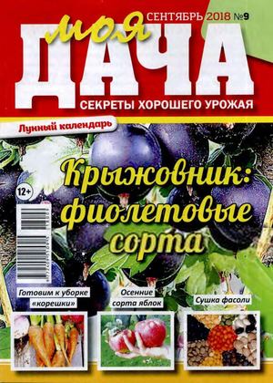 Моя дача №9, сентябрь 2018 - Читать журналы и газеты онлайн бесплатно без регистрации | Печатные периодические издания на bookjurn.ru