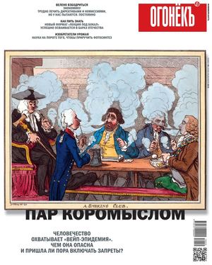 Огонёкъ №48, декабрь 2019 - Читать журналы и газеты онлайн бесплатно без регистрации | Печатные периодические издания на bookjurn.ru
