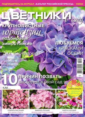 Цветники в саду №9, сентябрь 2018 - Читать журналы и газеты онлайн бесплатно без регистрации | Печатные периодические издания на bookjurn.ru