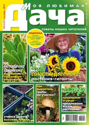 Моя любимая дача №9, сентябрь 2018 - Читать журналы и газеты онлайн бесплатно без регистрации | Печатные периодические издания на bookjurn.ru