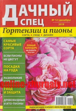 Дачный спец №12. декабрь 2019 - Читать журналы и газеты онлайн бесплатно без регистрации | Печатные периодические издания на bookjurn.ru