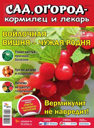 Сад, огород – кормилец и лекарь №24, декабрь 2019 - Читать журналы и газеты онлайн бесплатно без регистрации | Печатные периодические издания на bookjurn.ru