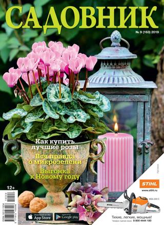 Садовник №9, сентябрь 2019 - Читать журналы и газеты онлайн бесплатно без регистрации | Печатные периодические издания на bookjurn.ru