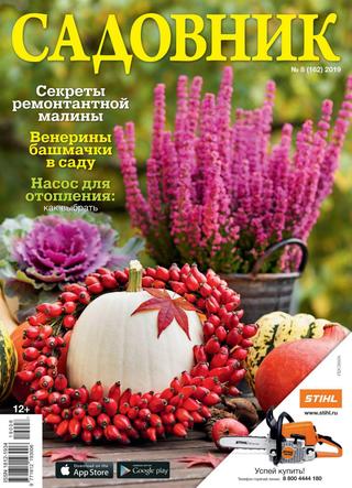 Садовник №8, август 2019 - Читать журналы и газеты онлайн бесплатно без регистрации | Печатные периодические издания на bookjurn.ru