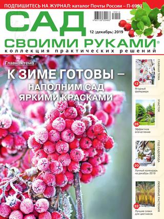 Сад своими руками №12, декабрь 2019 - Читать журналы и газеты онлайн бесплатно без регистрации | Печатные периодические издания на bookjurn.ru