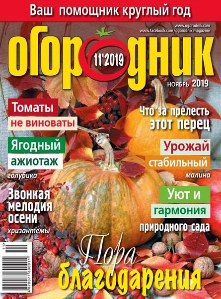 Огородник №11, ноябрь 2019 - Читать журналы и газеты онлайн бесплатно без регистрации | Печатные периодические издания на bookjurn.ru