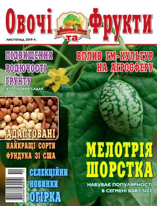 Овощи и фрукты №11, 2019 - Читать журналы и газеты онлайн бесплатно без регистрации | Печатные периодические издания на bookjurn.ru