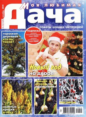 Моя любимая дача №12, декабрь 2019 - Читать журналы и газеты онлайн бесплатно без регистрации | Печатные периодические издания на bookjurn.ru