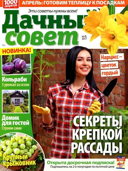 Дачный совет №6, март 2017 - Читать журналы и газеты онлайн бесплатно без регистрации | Печатные периодические издания на bookjurn.ru