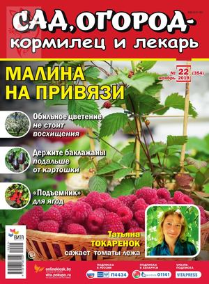 Сад, огород – кормилец и лекарь №22, ноябрь 2019 - Читать журналы и газеты онлайн бесплатно без регистрации | Печатные периодические издания на bookjurn.ru