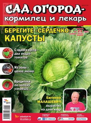 Сад, огород – кормилец и лекарь №21, ноябрь 2019 - Читать журналы и газеты онлайн бесплатно без регистрации | Печатные периодические издания на bookjurn.ru