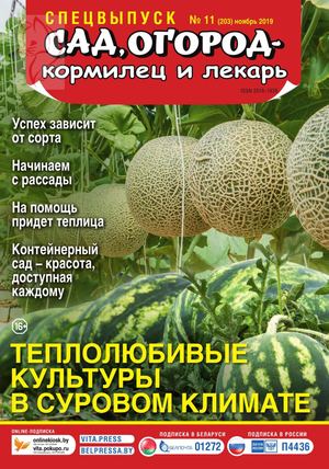 Сад, огород – кормилец и лекарь. Спецвыпуск №11, ноябрь 2019 - Читать журналы и газеты онлайн бесплатно без регистрации | Печатные периодические издания на bookjurn.ru