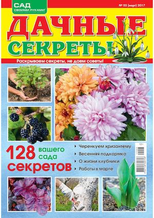 Дачные секреты №3, март 2017 - Читать журналы и газеты онлайн бесплатно без регистрации | Печатные периодические издания на bookjurn.ru