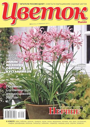 Цветок №4, февраль 2017 - Читать журналы и газеты онлайн бесплатно без регистрации | Печатные периодические издания на bookjurn.ru