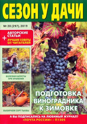 Сезон у дачи №20, октябрь 2019 - Читать журналы и газеты онлайн бесплатно без регистрации | Печатные периодические издания на bookjurn.ru