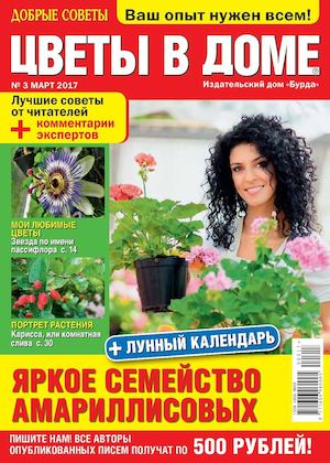 Цветы в доме №3, март 2017 - Читать журналы и газеты онлайн бесплатно без регистрации | Печатные периодические издания на bookjurn.ru