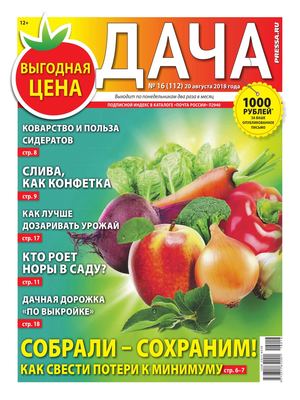 Дача №16, август 2018 - Читать журналы и газеты онлайн бесплатно без регистрации | Печатные периодические издания на bookjurn.ru