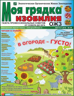 Моя грядка изобилия №8, август 2018 - Читать журналы и газеты онлайн бесплатно без регистрации | Печатные периодические издания на bookjurn.ru