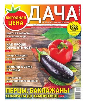 Дача №18, сентябрь 2018 - Читать журналы и газеты онлайн бесплатно без регистрации | Печатные периодические издания на bookjurn.ru