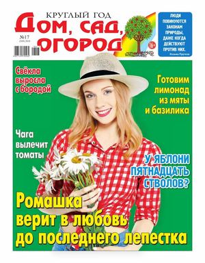 Круглый год: Дом, сад, огород №17, 2018 - Читать журналы и газеты онлайн бесплатно без регистрации | Печатные периодические издания на bookjurn.ru