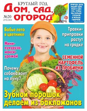 Круглый год: дом, сад, огород №20, 2018 - Читать журналы и газеты онлайн бесплатно без регистрации | Печатные периодические издания на bookjurn.ru