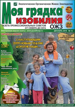 Моя грядка изобилия №12, декабрь 2018 - Читать журналы и газеты онлайн бесплатно без регистрации | Печатные периодические издания на bookjurn.ru