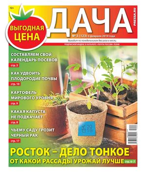 Дача №3, февраль 2019 - Читать журналы и газеты онлайн бесплатно без регистрации | Печатные периодические издания на bookjurn.ru