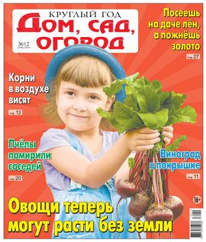 Круглый год: Дом, сад, огород №12, 2019 - Читать журналы и газеты онлайн бесплатно без регистрации | Печатные периодические издания на bookjurn.ru