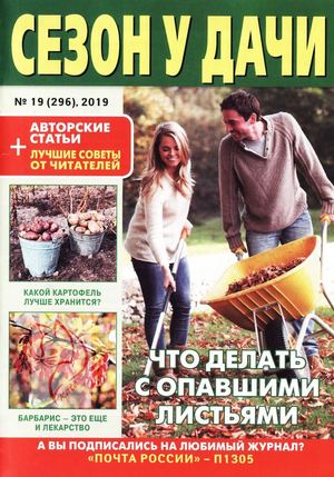 Сезон у дачи №19, октябрь 2019 - Читать журналы и газеты онлайн бесплатно без регистрации | Печатные периодические издания на bookjurn.ru