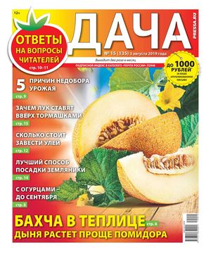 Дача №15, август 2019 - Читать журналы и газеты онлайн бесплатно без регистрации | Печатные периодические издания на bookjurn.ru