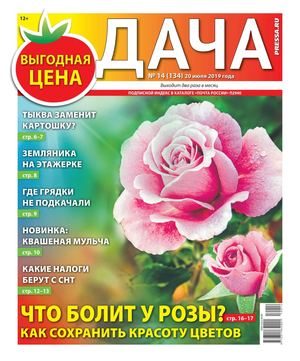 Дача №14, июль 2019 - Читать журналы и газеты онлайн бесплатно без регистрации | Печатные периодические издания на bookjurn.ru