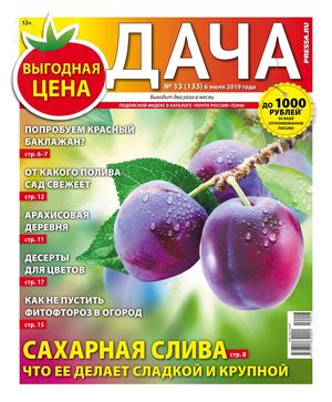 Дача №13, июль 2019 - Читать журналы и газеты онлайн бесплатно без регистрации | Печатные периодические издания на bookjurn.ru