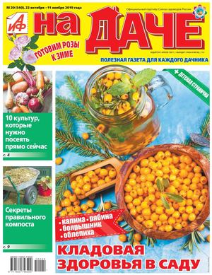 АиФ. На даче №20, октябрь - ноябрь 2019 - Читать журналы и газеты онлайн бесплатно без регистрации | Печатные периодические издания на bookjurn.ru