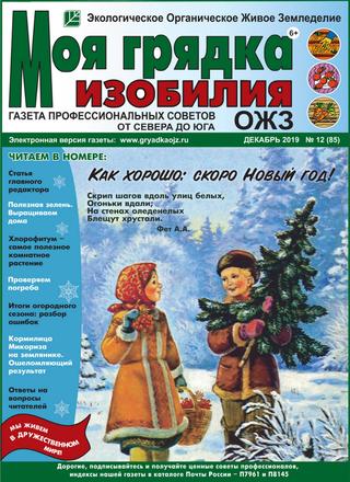 Моя грядка изобилия №12, декабрь 2019 - Читать журналы и газеты онлайн бесплатно без регистрации | Печатные периодические издания на bookjurn.ru