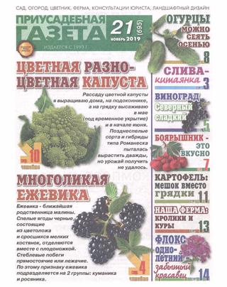 Приусадебная газета №21, ноябрь 2019 - Читать журналы и газеты онлайн бесплатно без регистрации | Печатные периодические издания на bookjurn.ru
