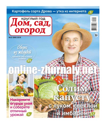 Круглый год: Дом, сад, огород №22, 2019 - Читать журналы и газеты онлайн бесплатно без регистрации | Печатные периодические издания на bookjurn.ru