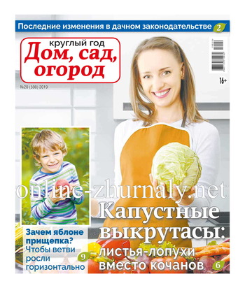 Круглый год: Дом, сад, огород №20, 2019 - Читать журналы и газеты онлайн бесплатно без регистрации | Печатные периодические издания на bookjurn.ru