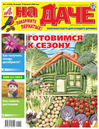 АиФ. На даче №1-2, январь - февраль 2020 - Читать журналы и газеты онлайн бесплатно без регистрации | Печатные периодические издания на bookjurn.ru